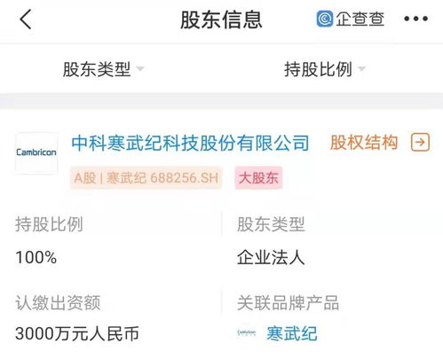 寒武紀(jì)南京新公司成立，強(qiáng)化人工智能軟件開發(fā)布局